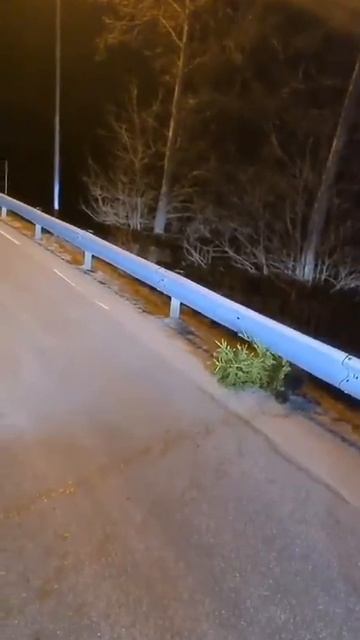 VID_20251212_204204_463.mp4