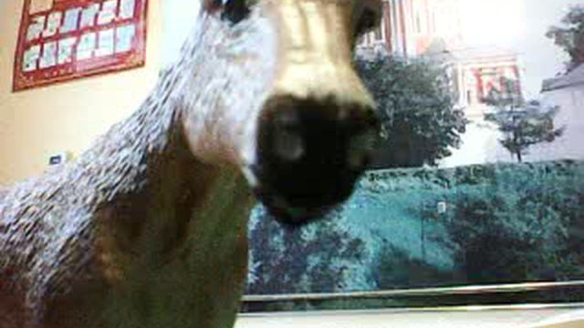 ОКТЯБРЁВСКИЙ КУХОННЫЙ БЛОГ ДО КЛЮЧИКОВ №1547 Я ПИШУ СЕГОДНЯ ВСЕМ (ДУБЛЬ ДВА 2 ЧАСТЬ)ПОД МУЗЫКУ.