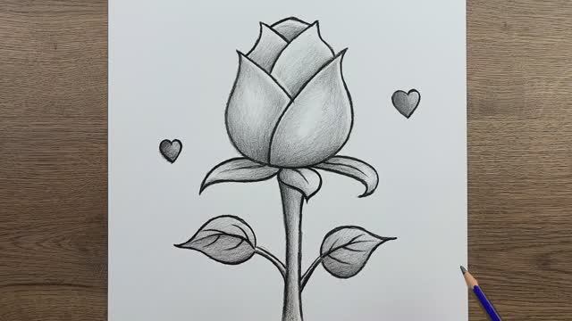 Как легко нарисовать розу карандашом — пошаговое руководство по рисованию простого цветка.