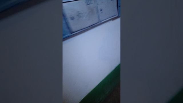 Пов: как я иду гулять реал жизнь.