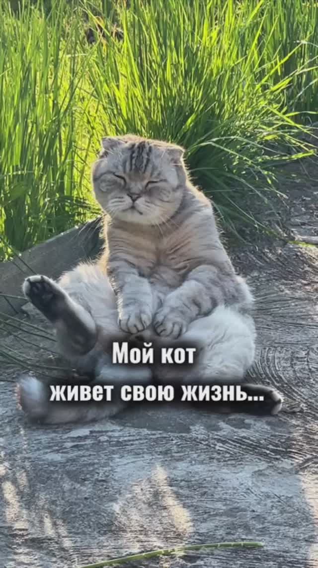Ну что поделать🤷♀️☺️