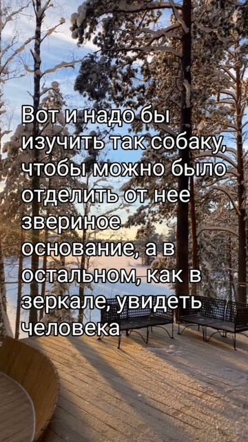 Pisatel - Друг человека (Михаил Пришвин)