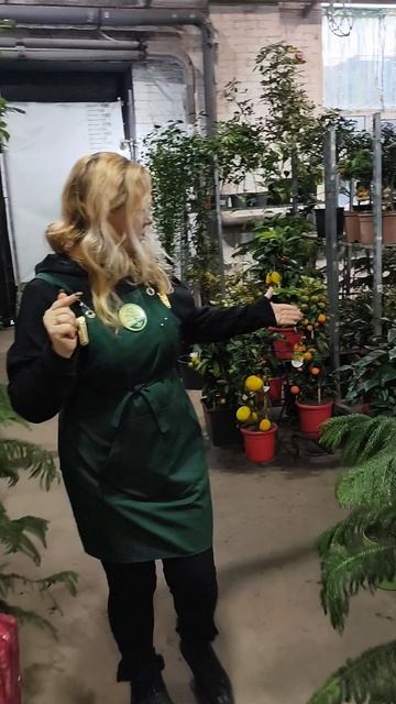 Уникальные подарки в Цитрус Микс!🎁🤗