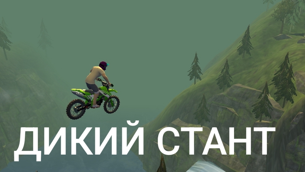 ДИКИЙ СТАНТ¡