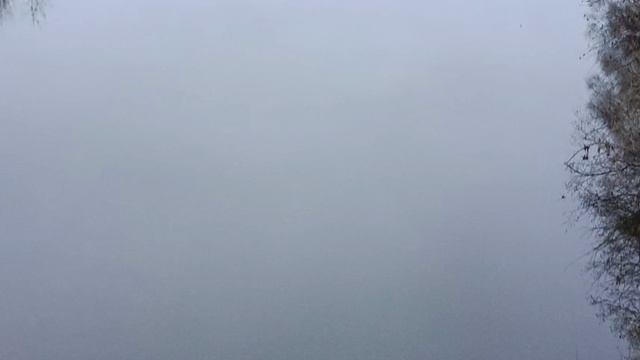 #прогулка по подвесному Мосту природа