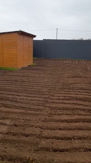 Мини погрузчик Волгодонец.