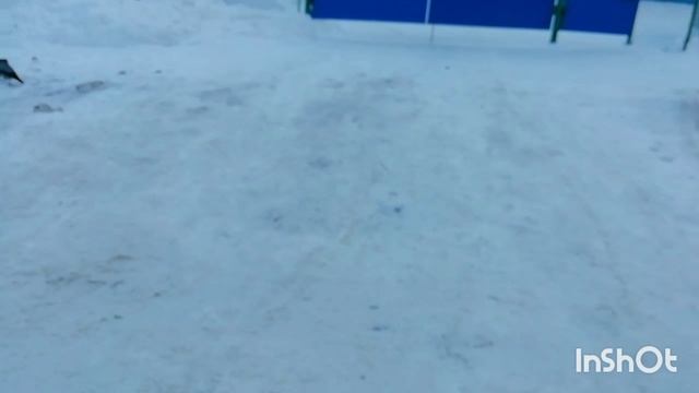 Дадут какао