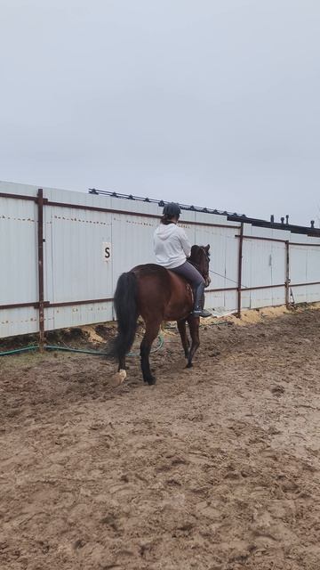 Даша и Аквилон, рысь без седла на плацу.