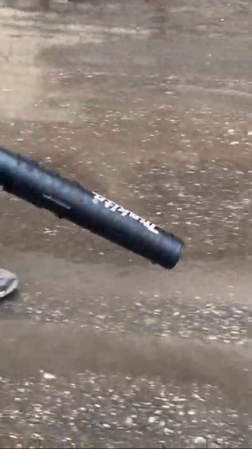 Современный Моисей)