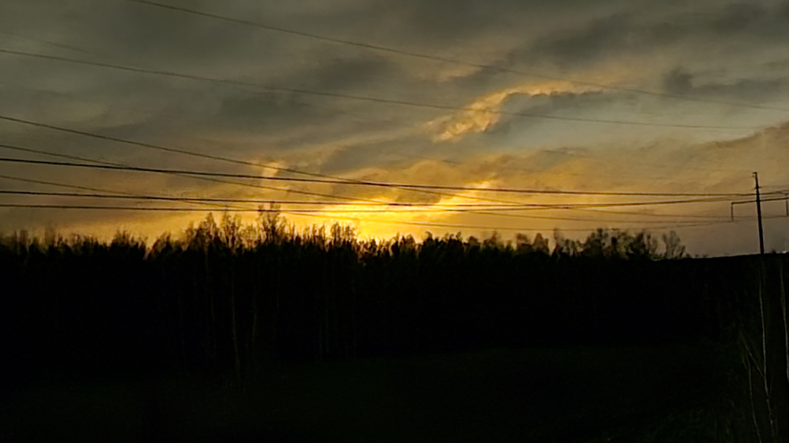 Как прошёл мой год 2025