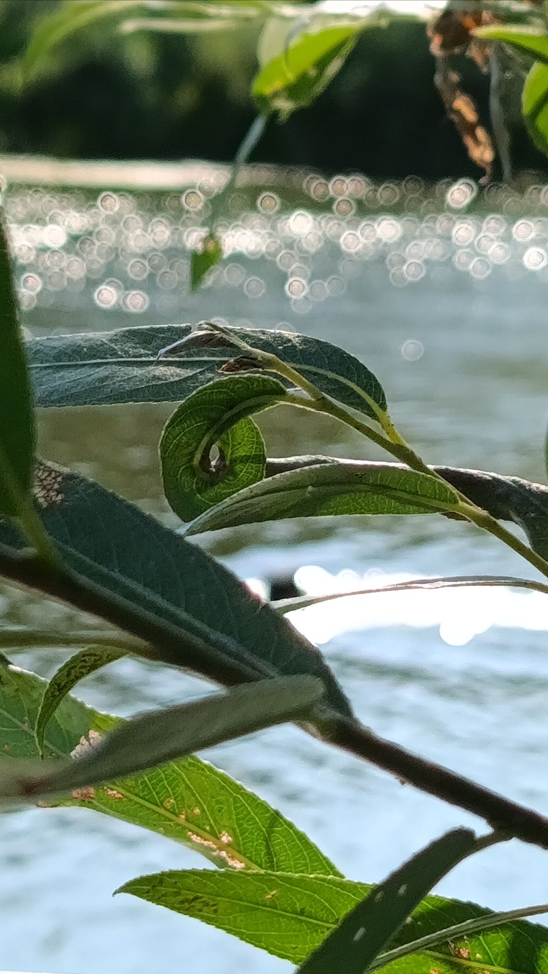 Объятия лета!