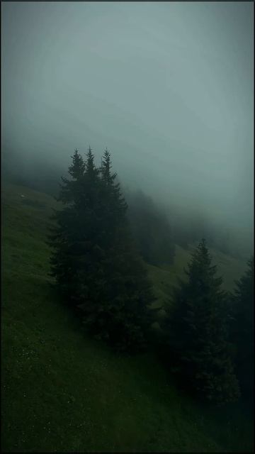 Швейцария 🇨🇭