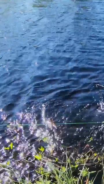 РЫБАЛКА В ТАЙГЕ ОДИН