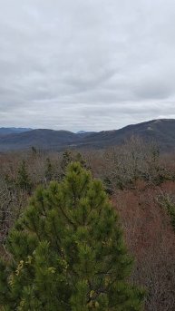 с высоты птичьего полета