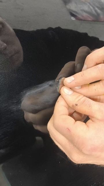 Удаление царапин без покраски... BMW M5