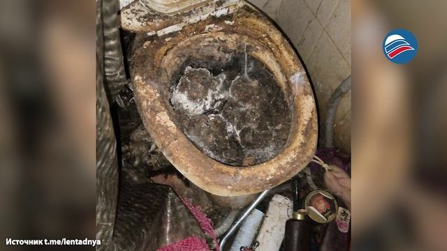 Горы мусора и мёртвая кошка: в Красноярске арендатор квартиры оставила хозяину жуткий «сюрприз»