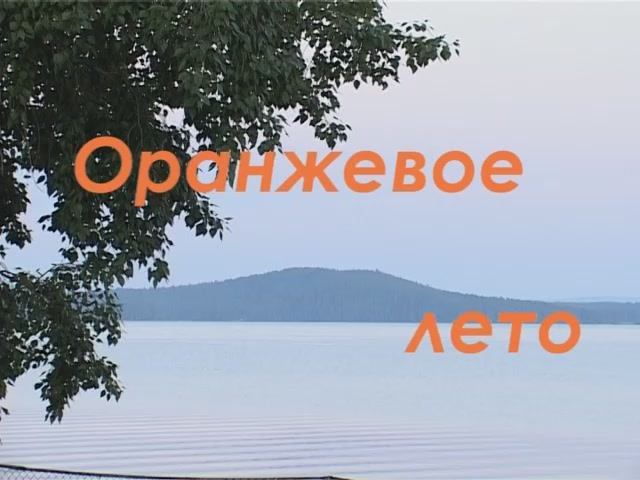 2009 Оранжевое лето