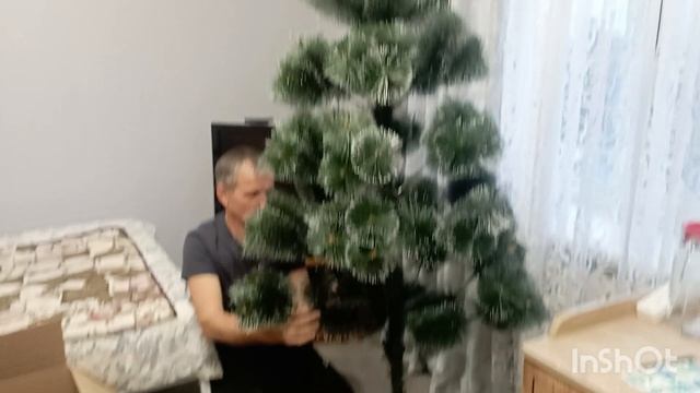 УСТАНАВЛИВАЕМ ËЛКУ. 13 ДЕКАБРЯ.