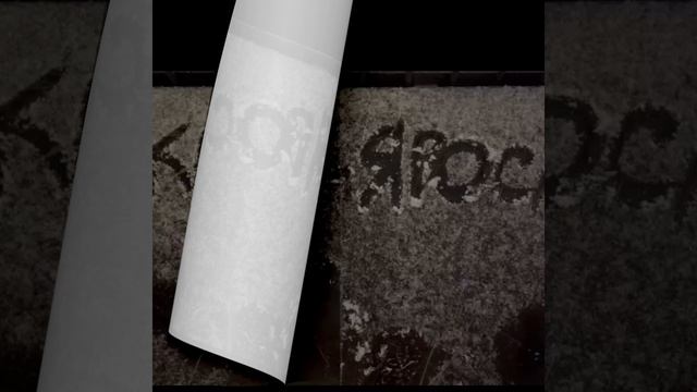 Ярослав и Екатерина уже нарядили ёлочку. А вы? Пусть в каждый дом войдёт этот волшебный праздник...