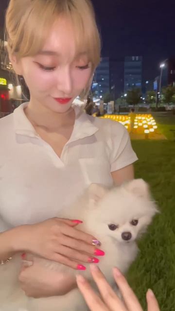 Как мило, можно потрогать?