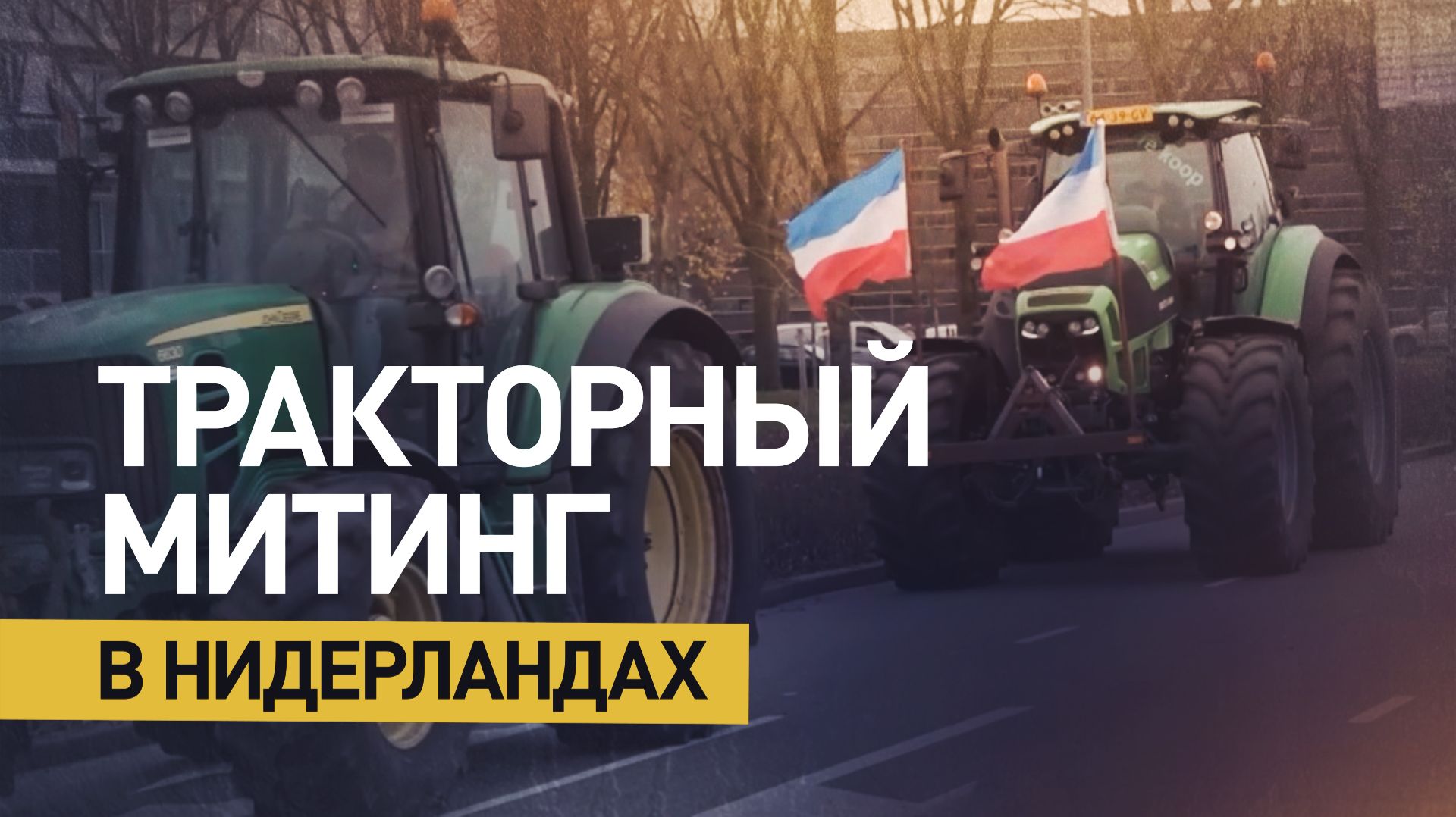 Голландские фермеры протестуют против ужесточения экологических норм