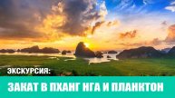Экскурсия Секретная Пханг Нга с планктоном 2025