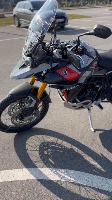 Triumph Tiger Rally Pro 900 2025