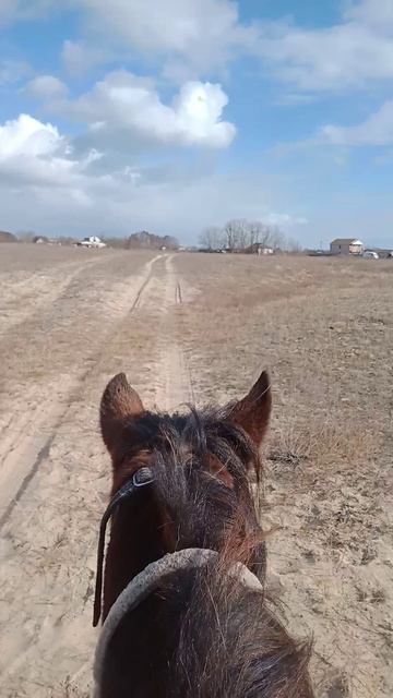 Кинбурнскими тропами