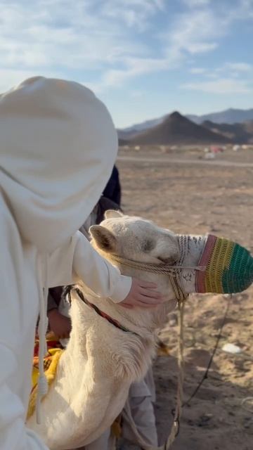 Һағынам һине, Рәсүлебез салләллаһу ғәләйһи үә сәлләм!