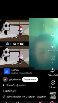 веселые видео .