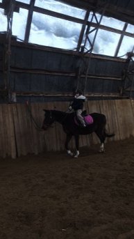 Арина и Флейта, первая самостоятельная рысь по стенке в манеже.