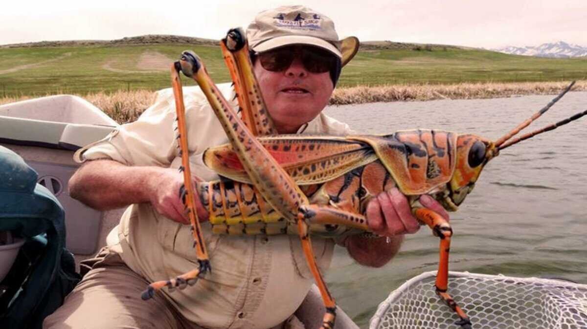 Ворона ловит рыбу с помощью приманки.!😆