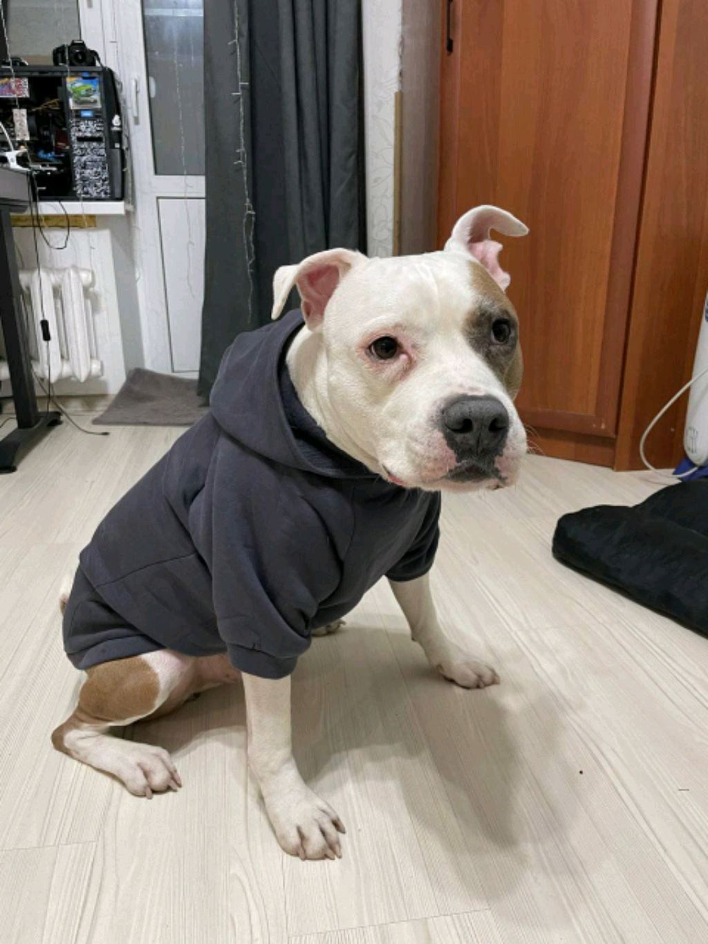 Игра в Minecraft с модами