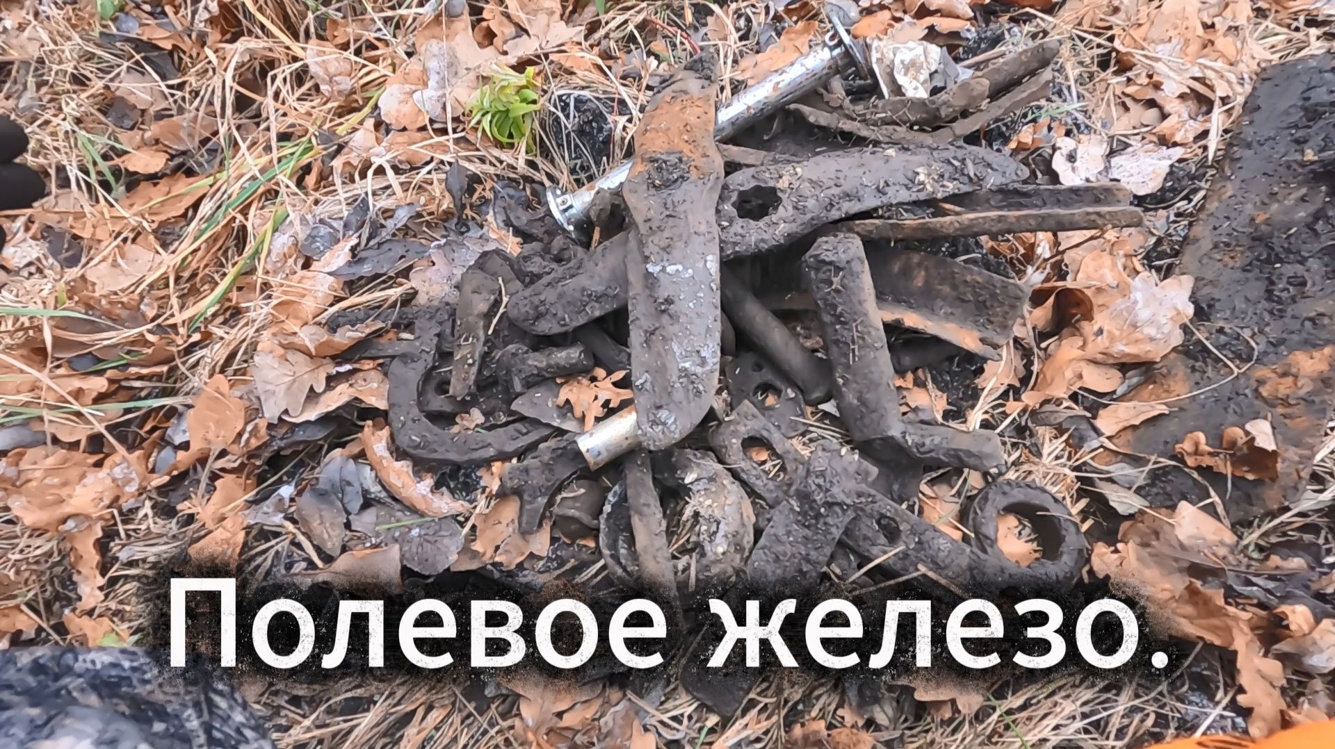 Приборный поиск. Мы на поле не одни.