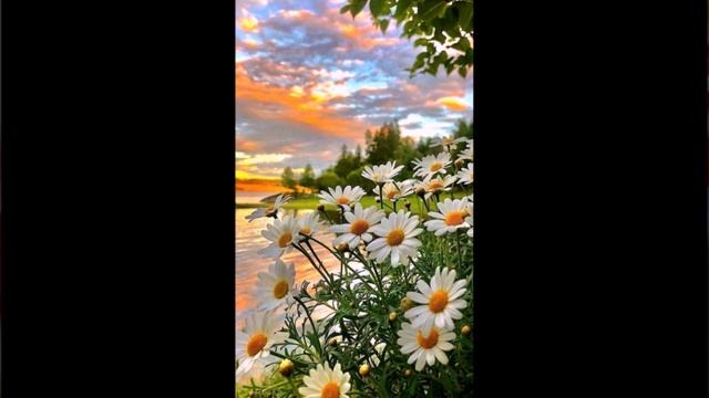 Библия и жизнь. Моя аудиокнига. Часть 89