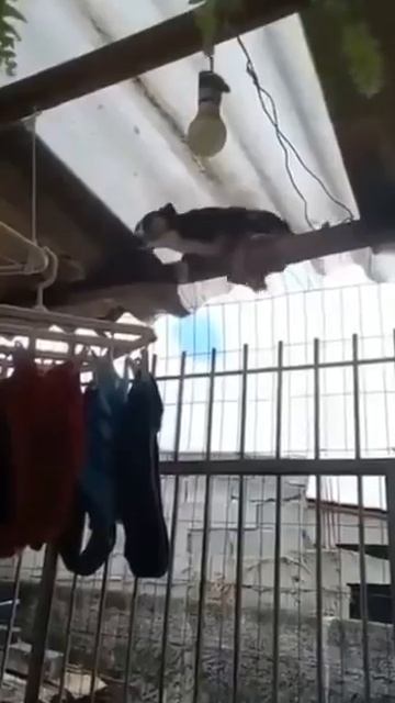 Никогда не сдавайся