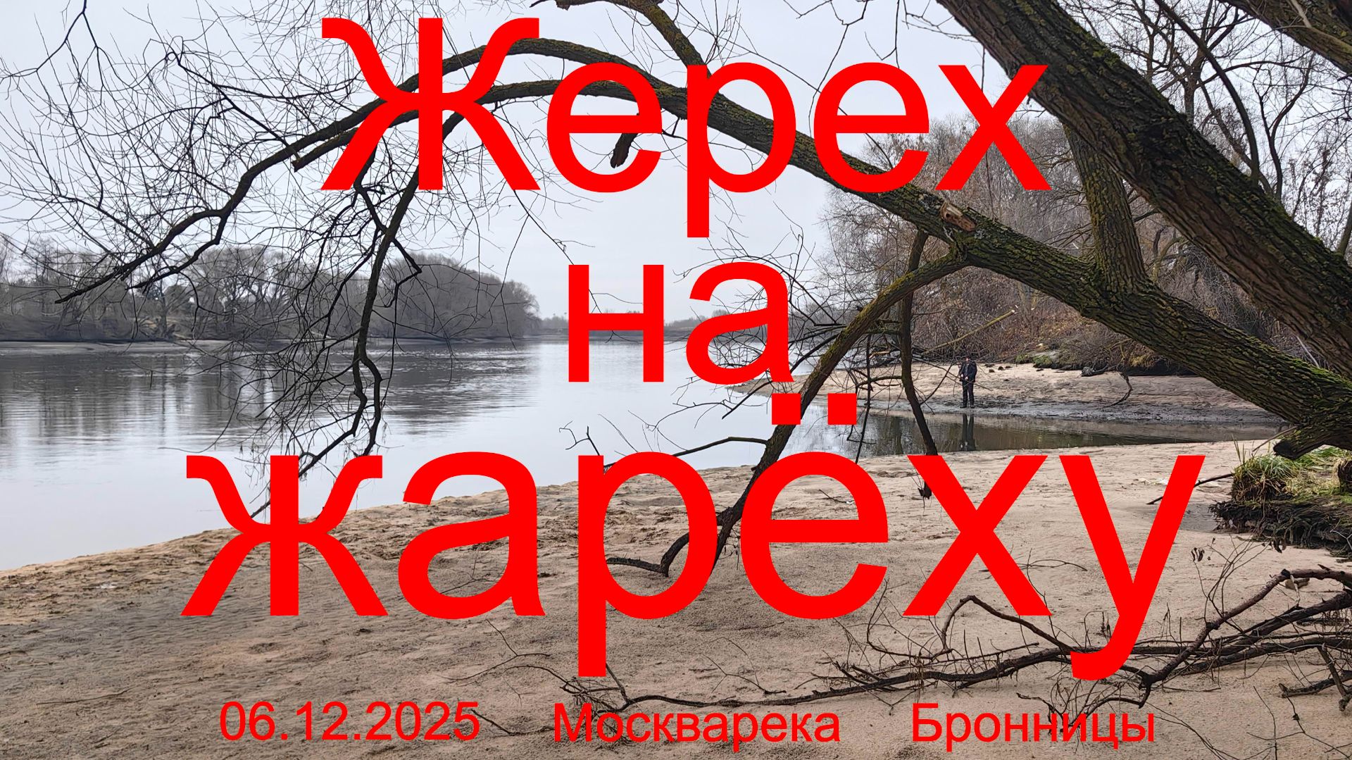 Жерех на жарёху или спиннинг на выброс. 06.12.2025. Москварека. Зимний спиннинг в Подмосковье.