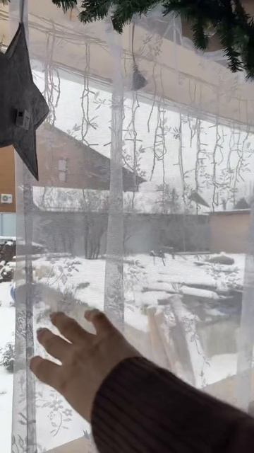 По поводу трубы #уралочка #уральскаядевушка