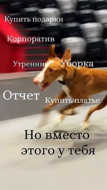 Скоро Новый год!!!