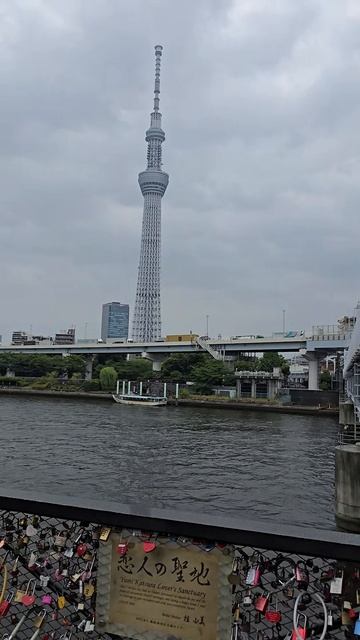 Река Сумида и телевышка в Токио, Япония
