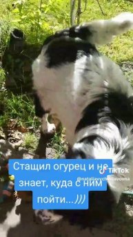 Туда - сюда...)))