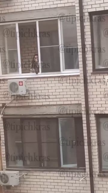 В Краснодаре жительница нестандартным образом воспитывала свою кошку