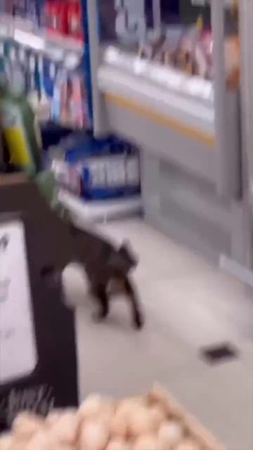 Это что происходит 😂