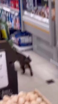 Это что происходит 😂