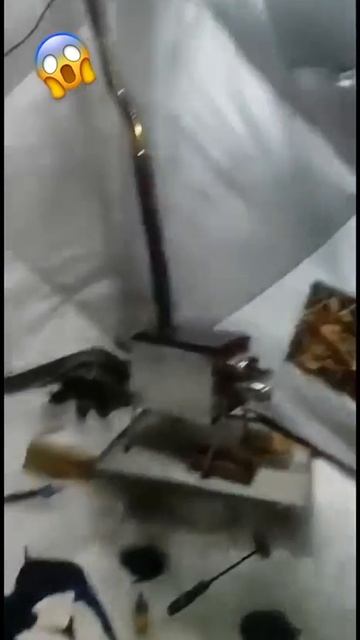 Видео от Залипательные, прикольные видеоролики бесплатно