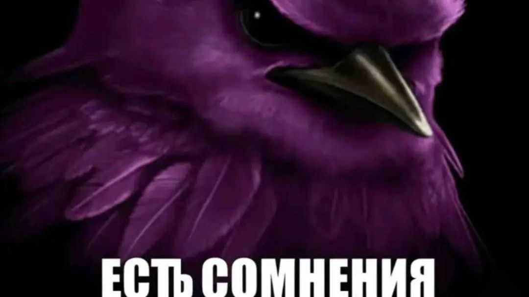 Первое видео после реста, лол