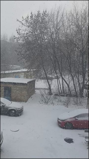 Снег❄️❄️❄️13 декабря ☺️