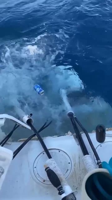 На лодке оторвался транец. Утопил моторы. Но главное не унывать!