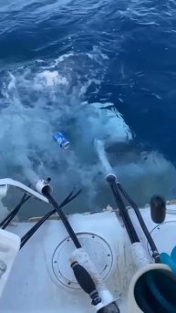 На лодке оторвался транец. Утопил моторы. Но главное не унывать!