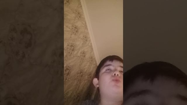 Как я делаю мелодию на гармошке гудок локомотива и сигнал автомобиля